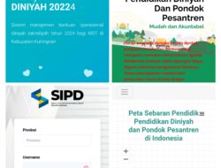 Website Aplikasi Untuk Dapat “CUAN” Bagi Diniyah Takmiliyah